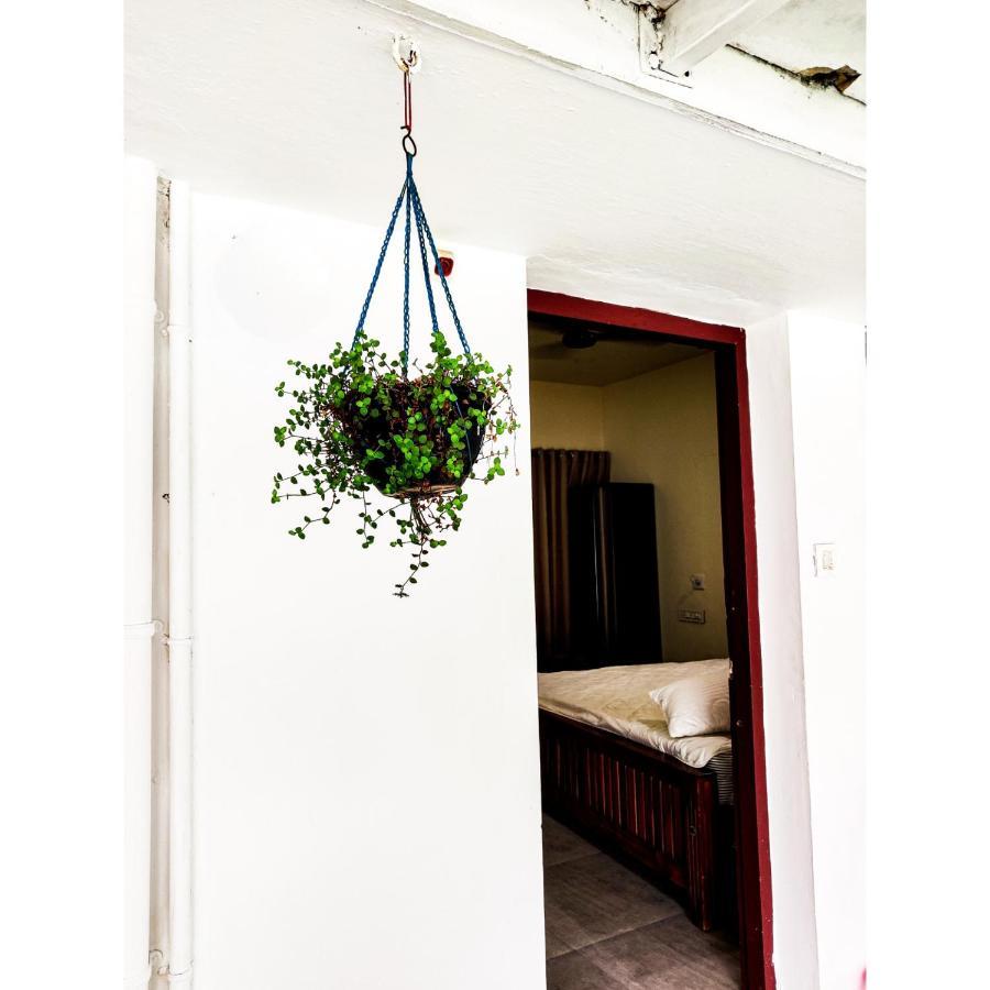 Nature Villa Kochi Alwaye Exterior foto